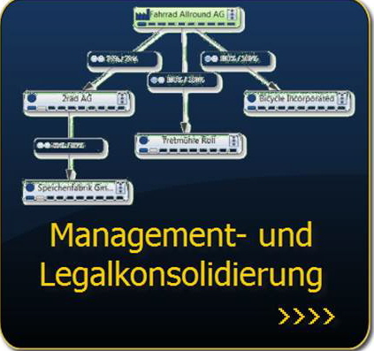 Link: Management- und Legalkonsolidierung mit dem Modul CP-Cons